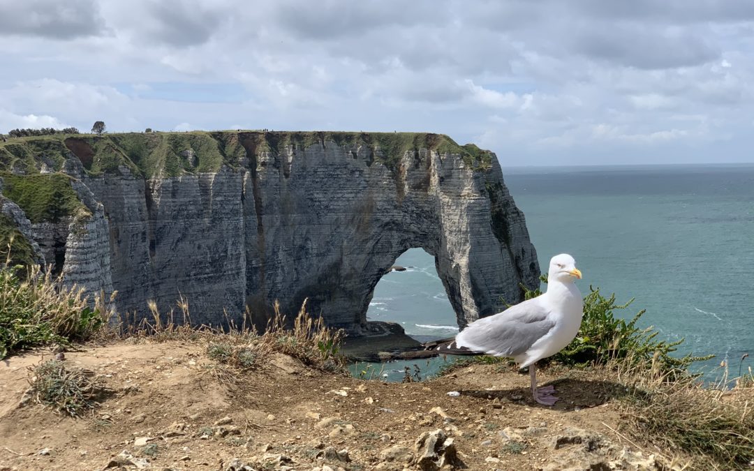 Etretat, ou ne pas Etretat.