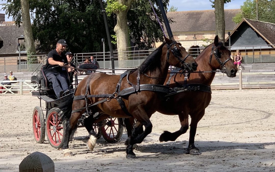 Steak Show au Haras du Pin
