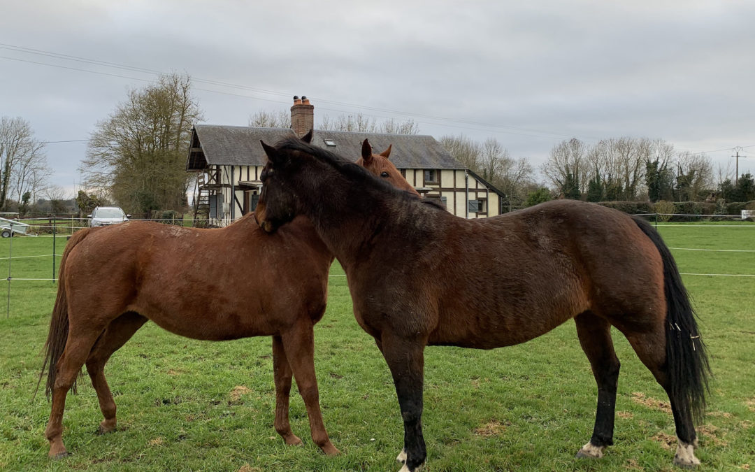 Bienvenue Darky & Marius